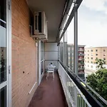 Splendido Appartamento In Zona Citta Studi